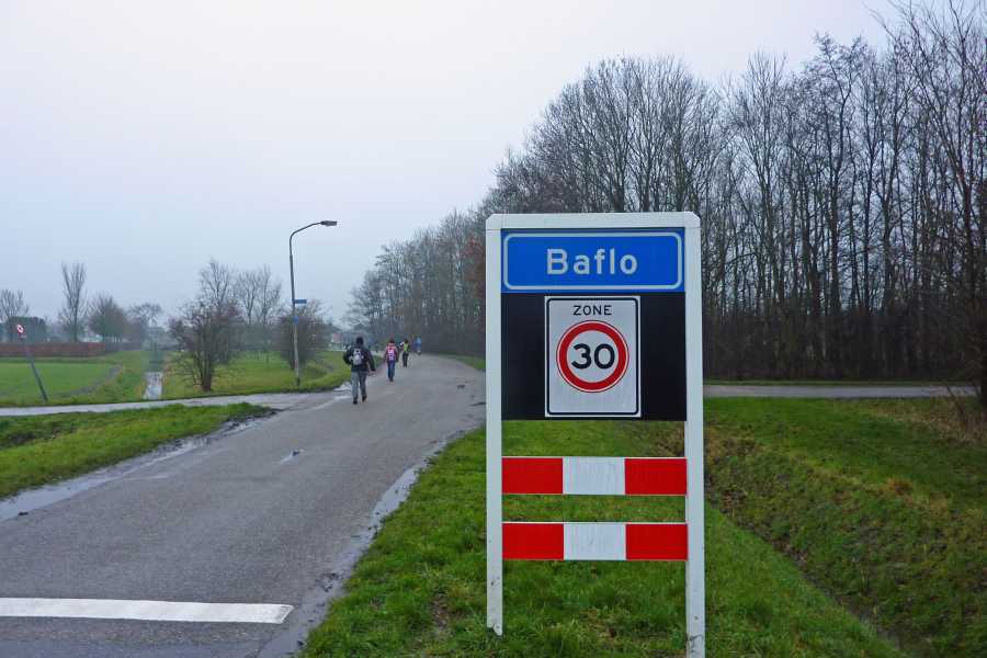 Baflo